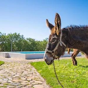 Gospodarstwo agroturystyczne Burro By Host Wise, Portimão